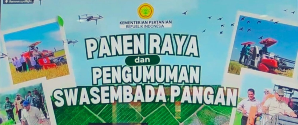 KEMENTAN GELAR ZOOM MEETING PANEN RAYA DAN PENGUMUMAN SWASEMBADA PANGAN, PETANI DESA TABO-TABO ANTUSIAS MENGIKUTI